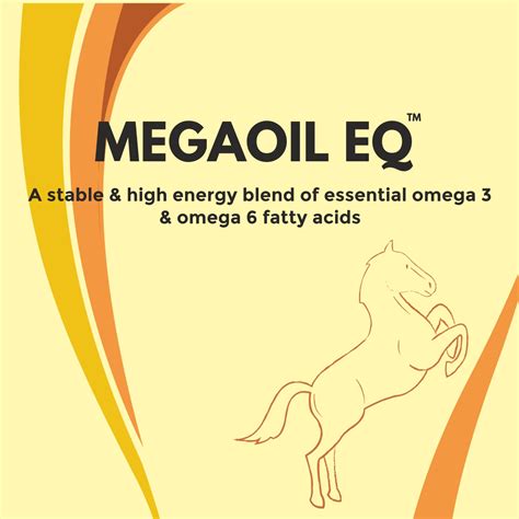 Contact – Megaoil.